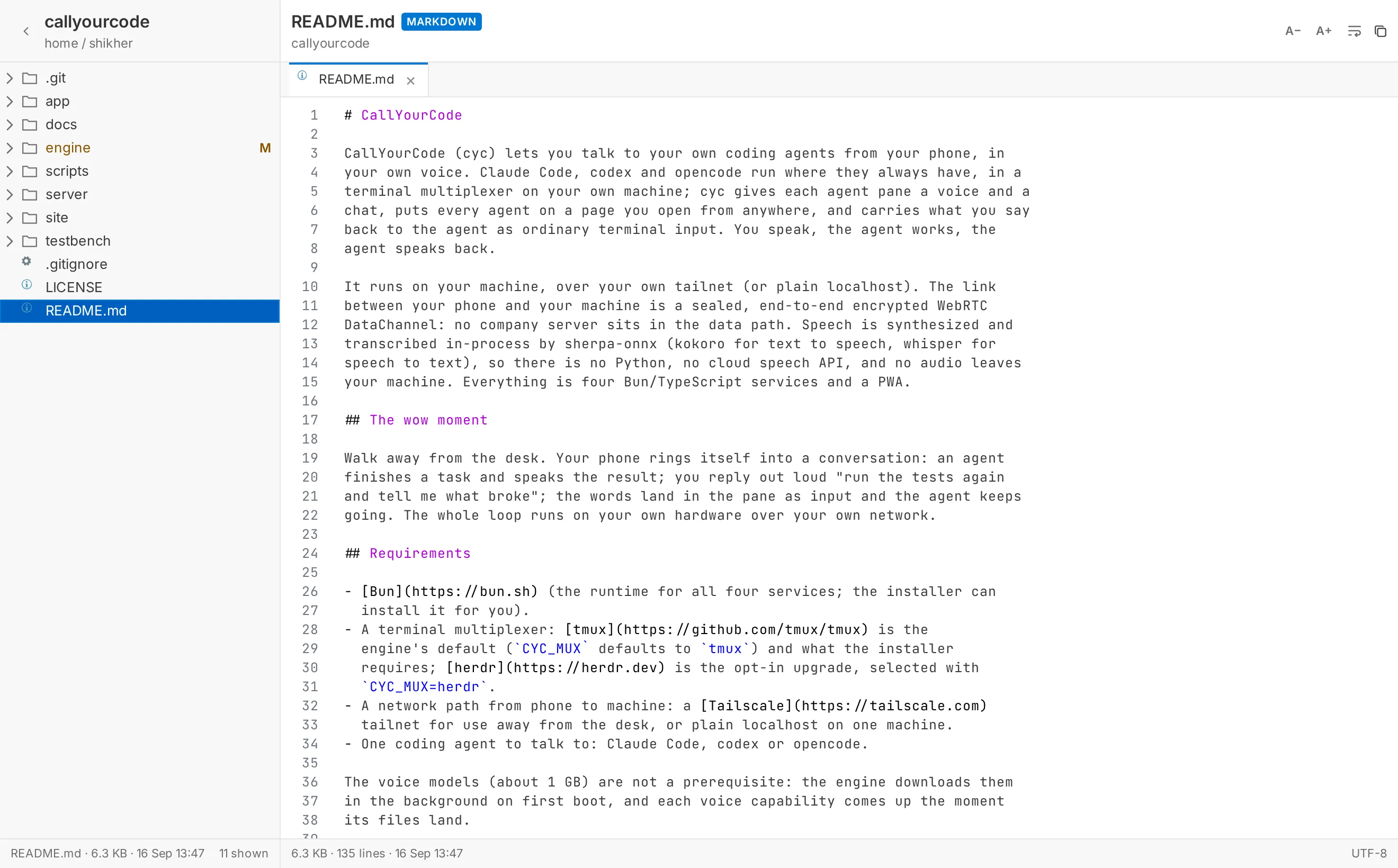 The Files page: the agent's working tree on the left, a file preview on the right